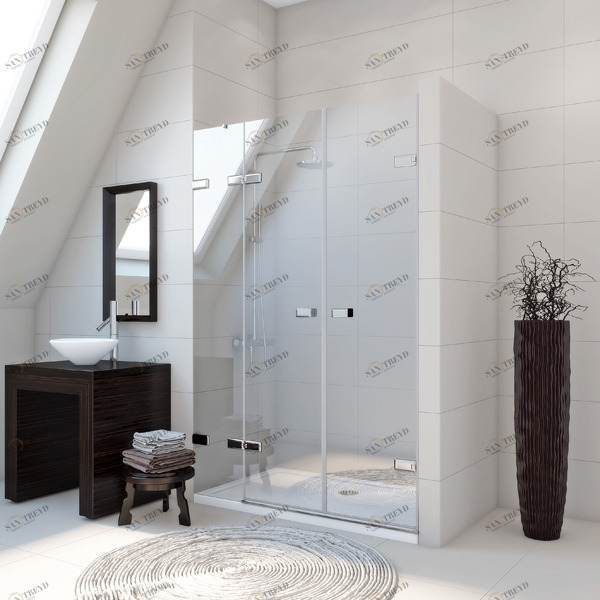 Душевые двери в нишу 110x200 GK-863A стекло прозрачное 6 мм GUTEWETTER TREND DOOR 110X200GK863A