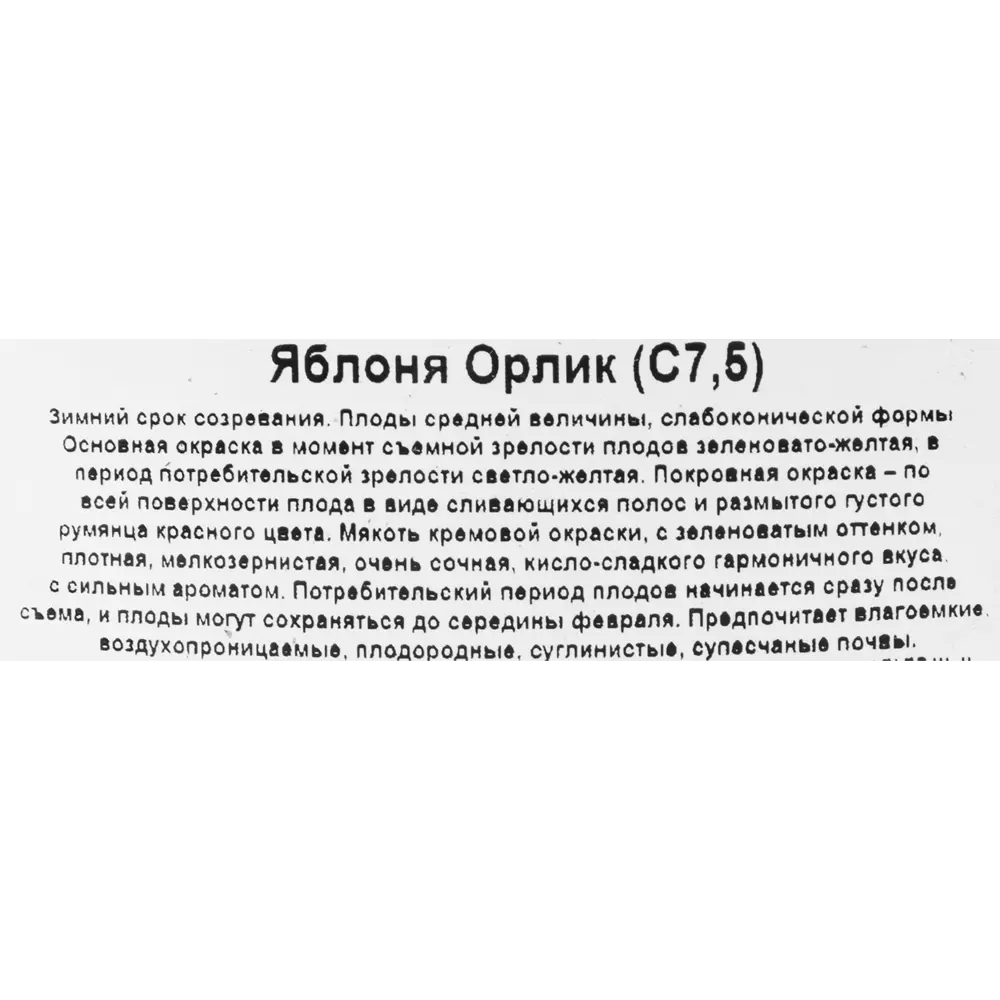 Яблоня микс ø 20 h80-100 см Поиск Инвест 16572708 STLM-2079153 Santreyd  - Вид №1