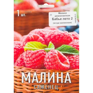 Малина Бабье лето 2 h17 см 83791466 STLM-2195388