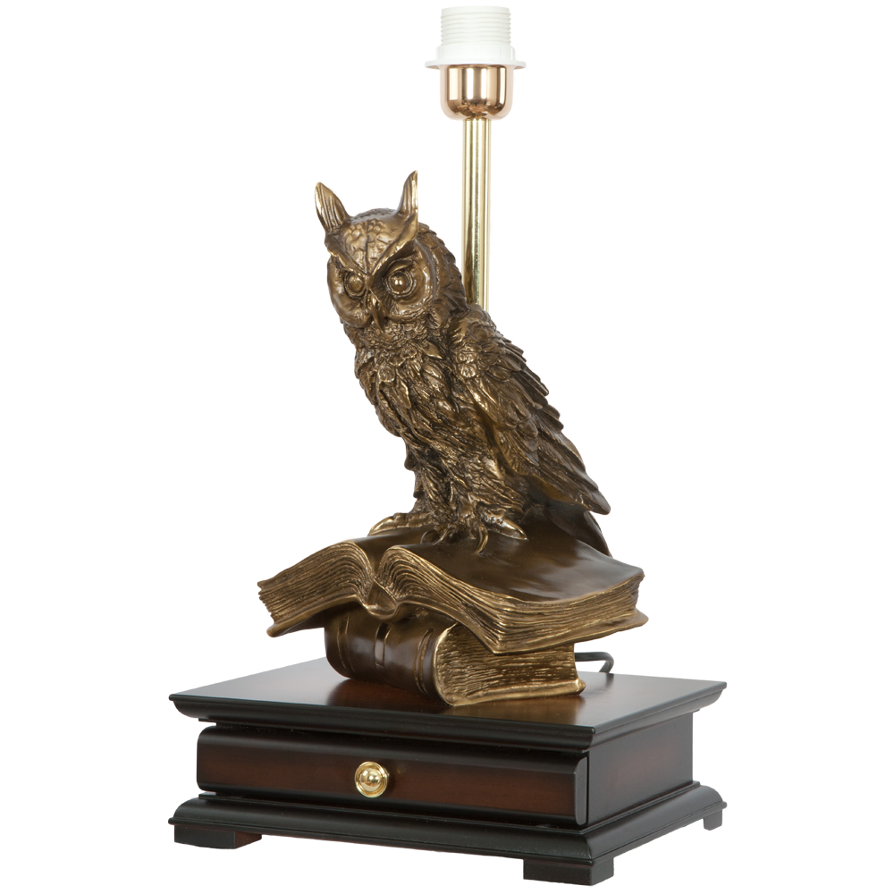 33006/1,34074 Настольная лампа с бюро Ученый Филин Классика Поталь BOGACHO 4627138211540, 4627155810771 - Вид №7