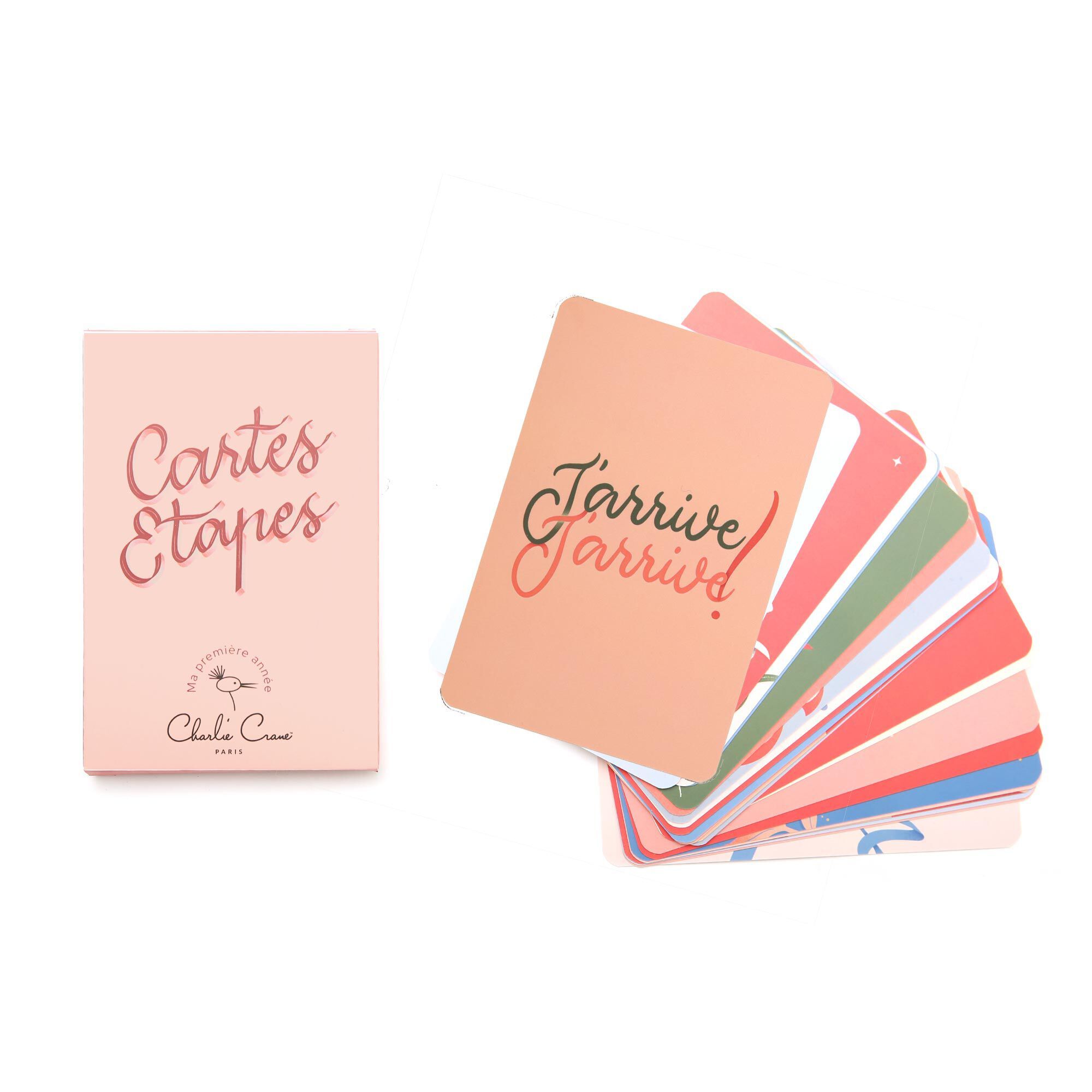 Набор из 24 карт Charlie Crane MY FIRST YEAR MILESTONE ARCH-00125799 - Вид №3