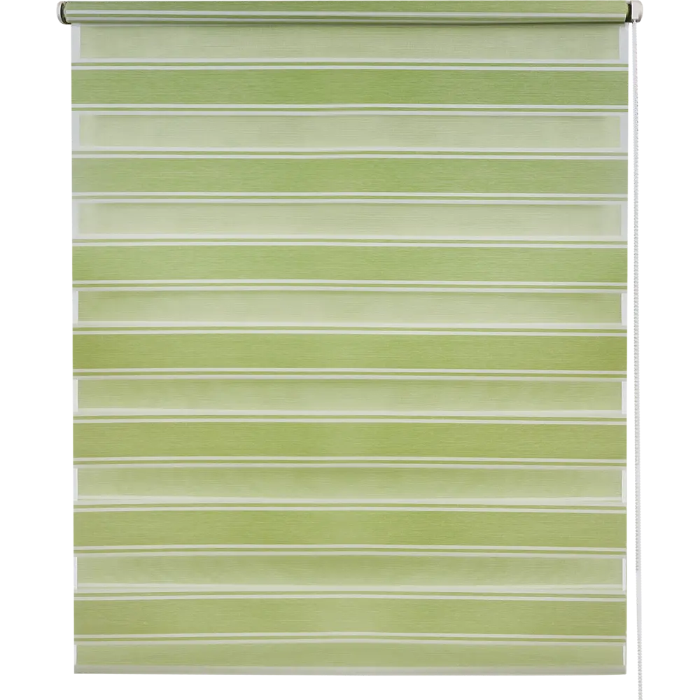 Штора рулонная день-ночь Дэли 80x160 см салатовая MIAMOZA STLM-2159733 - Вид №1