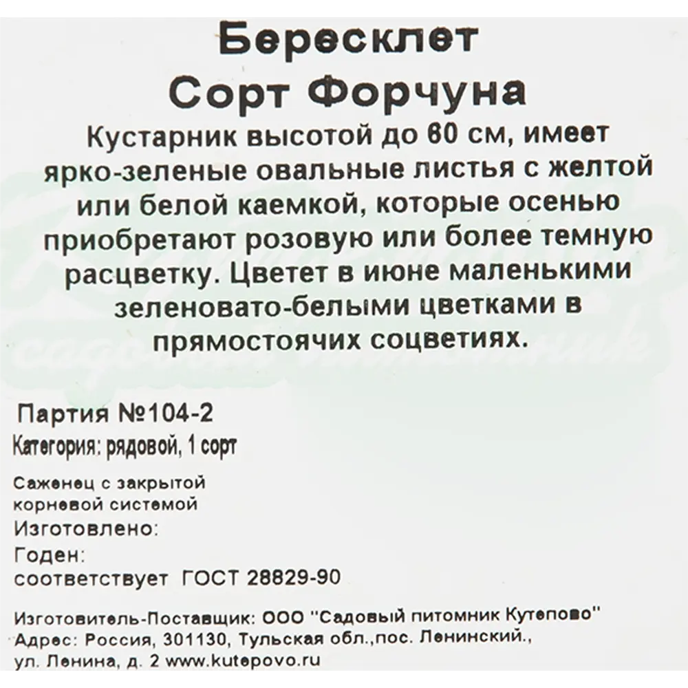 Бересклет Форчуна 11x20 см 82595236 STLM-2113292 Santreyd  - Вид №1
