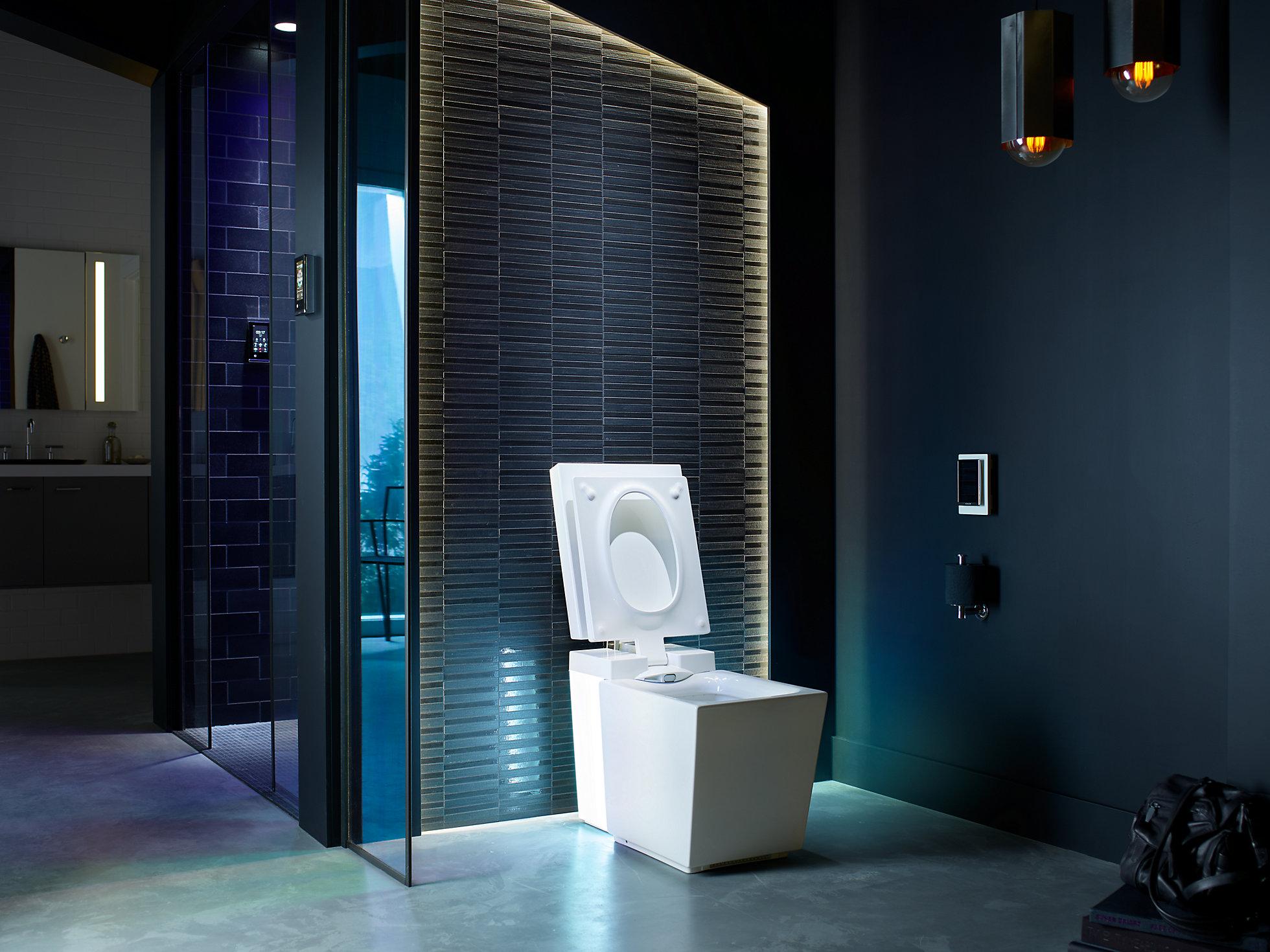 KOHLER  K-3901-NSR-0  - Вид №6