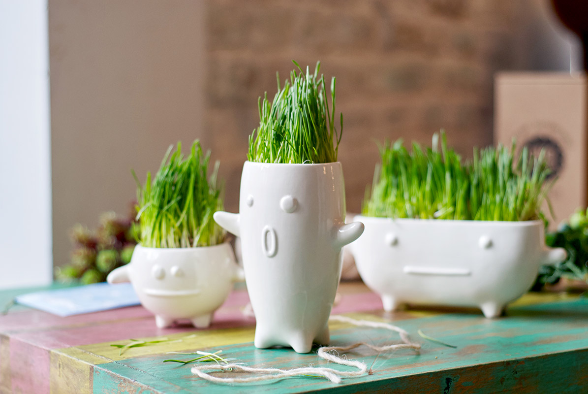 Набор для выращивания Eco Кру ЭКОЧЕЛОВЕКИ 8003 - Вид №6