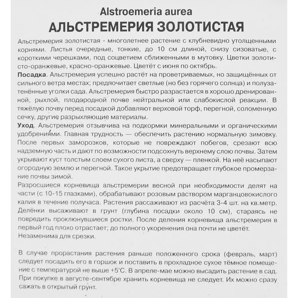 Альстремерия Лютея ПОИСК STLM-2153018 - Вид №2