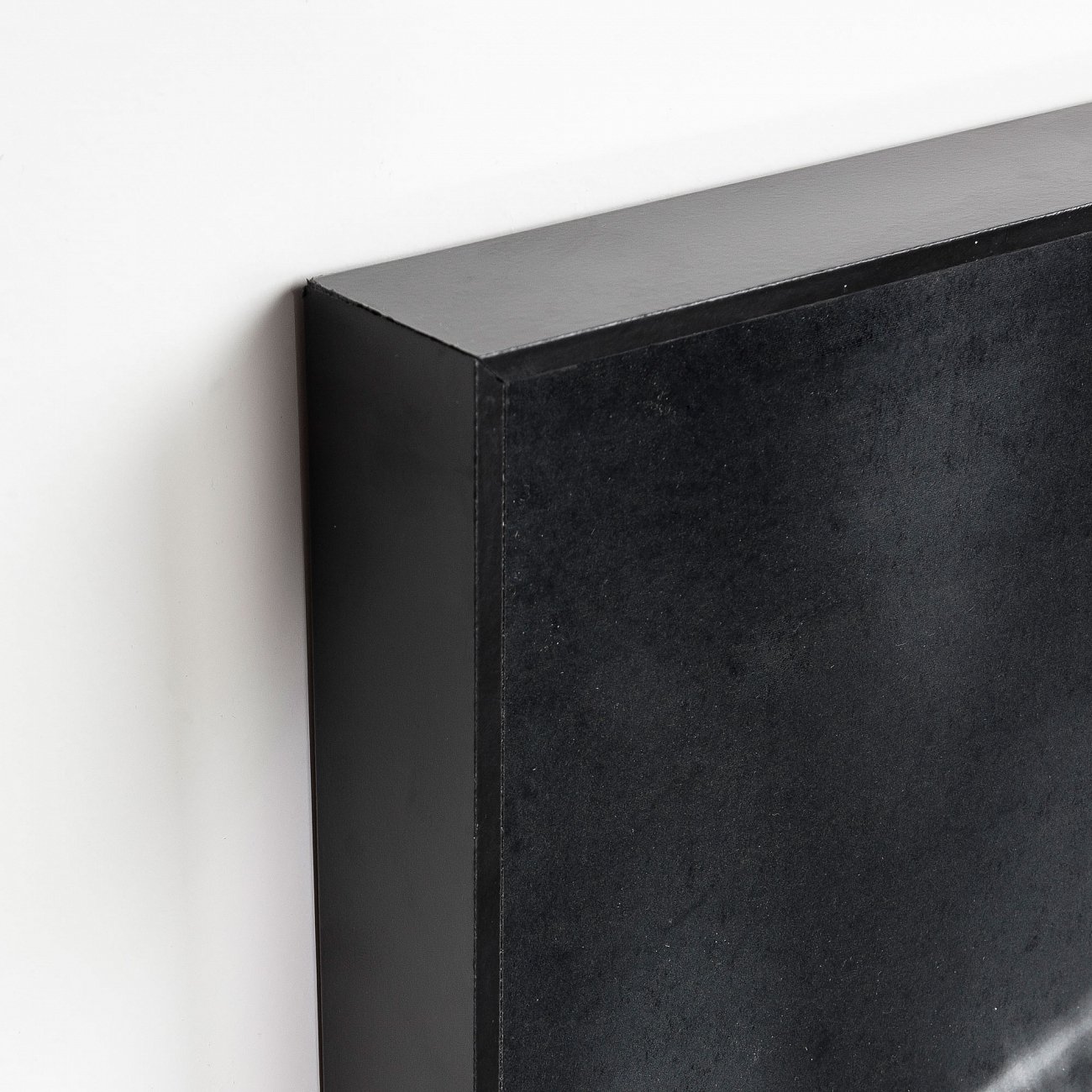 Картина черная с белым "Одуванчик" 70х50 см Calantha от La Forma LA FORMA CALANTHA 00-3865167 Черный  - Вид №1