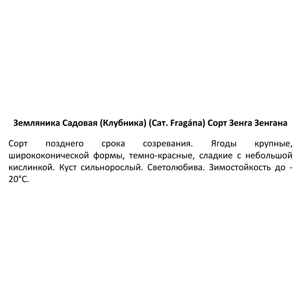 Земляника микс ø6 h5 см 6 шт. 85608232 STLM-2188225 Santreyd  - Вид №2