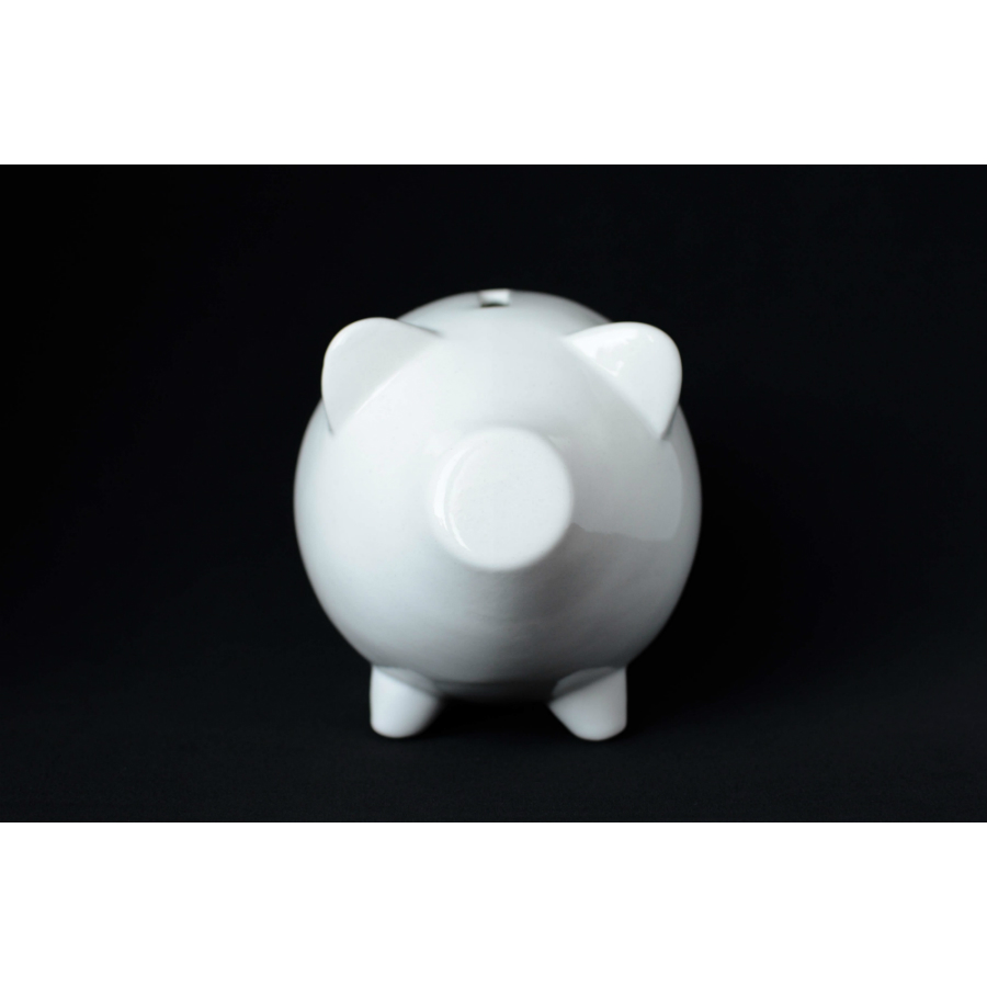 PIG-1-01 Сувенир «свинка-копилка» Экочеловеки  - Вид №5