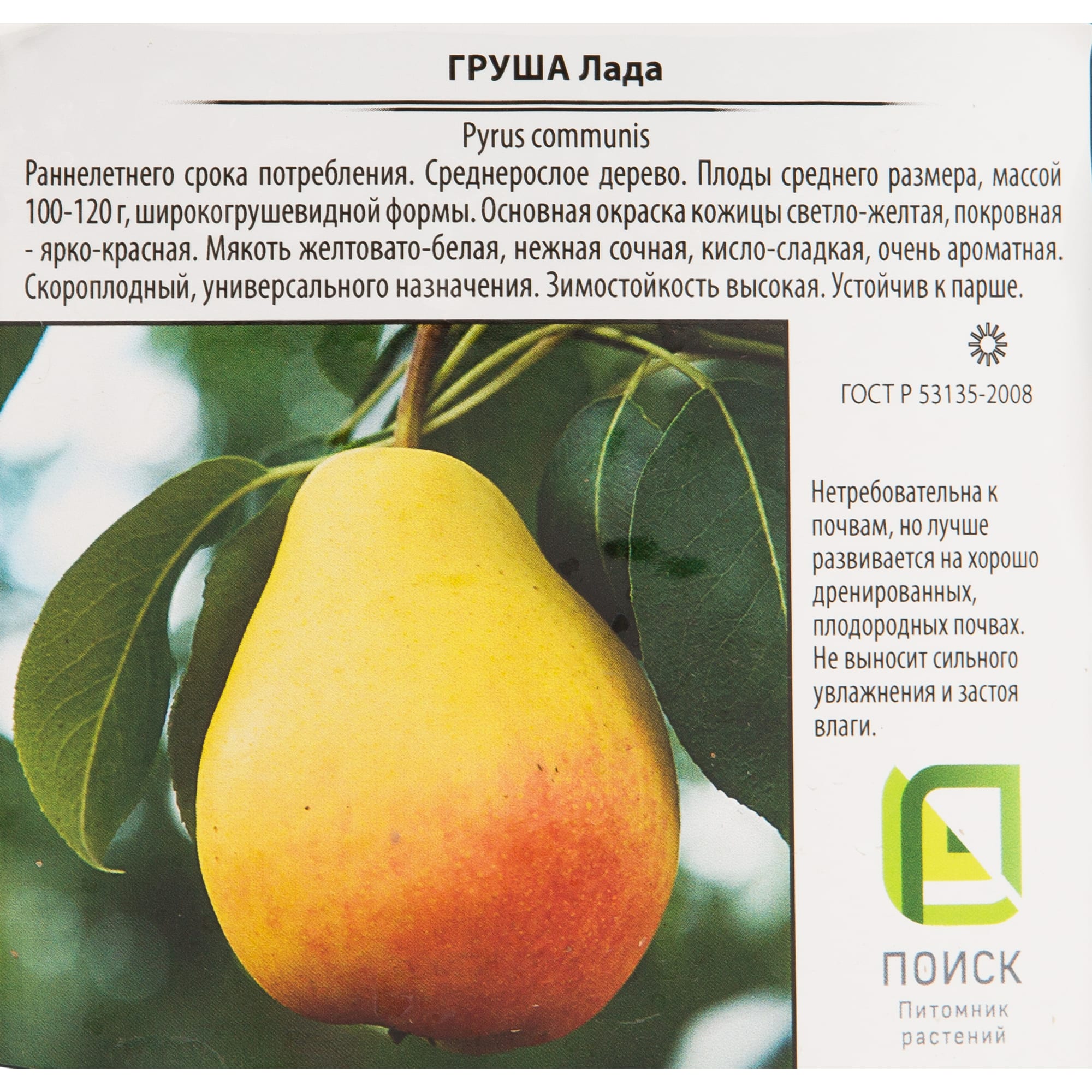 82585408 Груша «Лада» 25x120 см Santreyd  - Вид №1