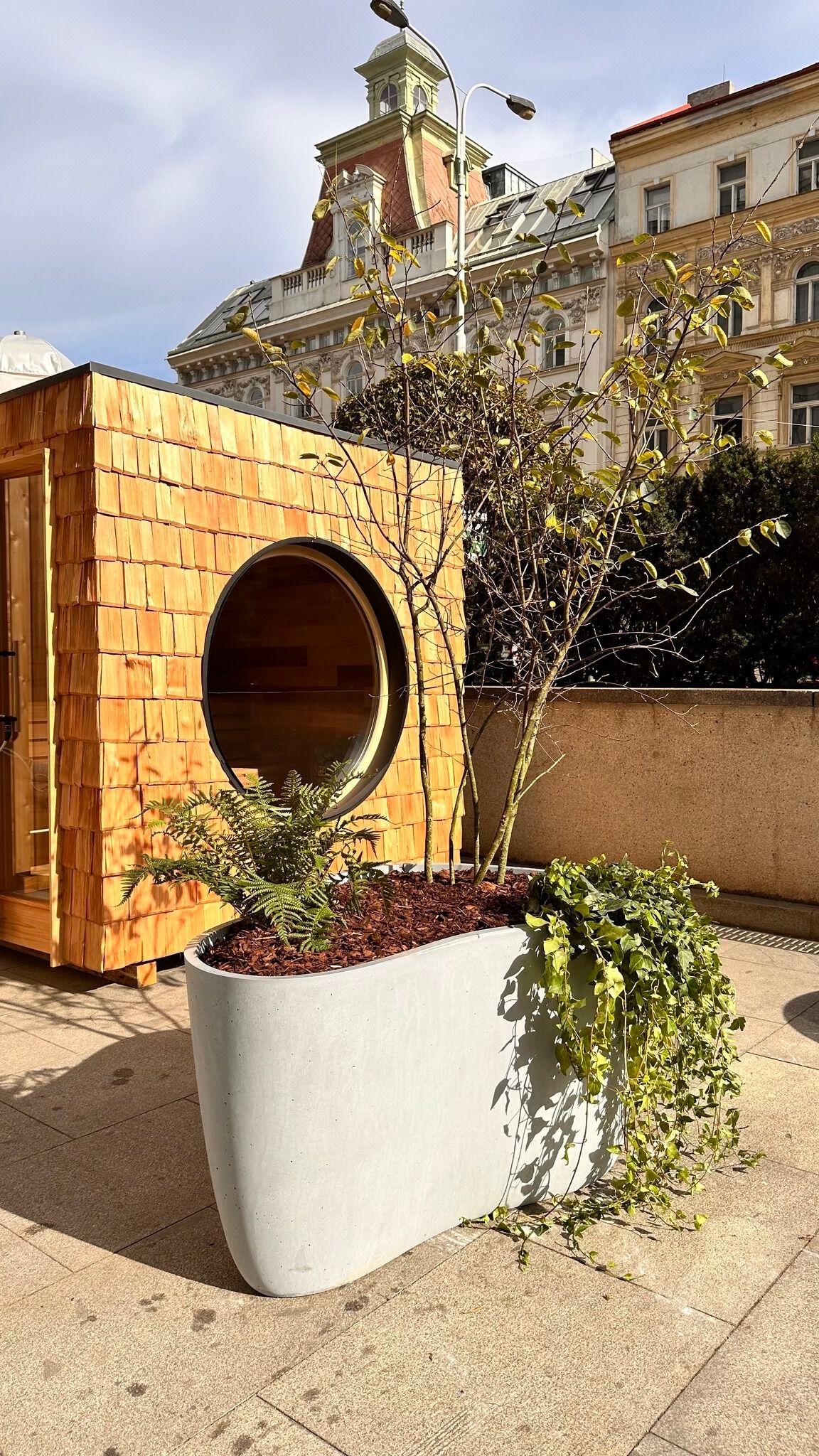 Бетонная ВАЗа ручной работы Betoni Organic ARCH-00149305 - Вид №7