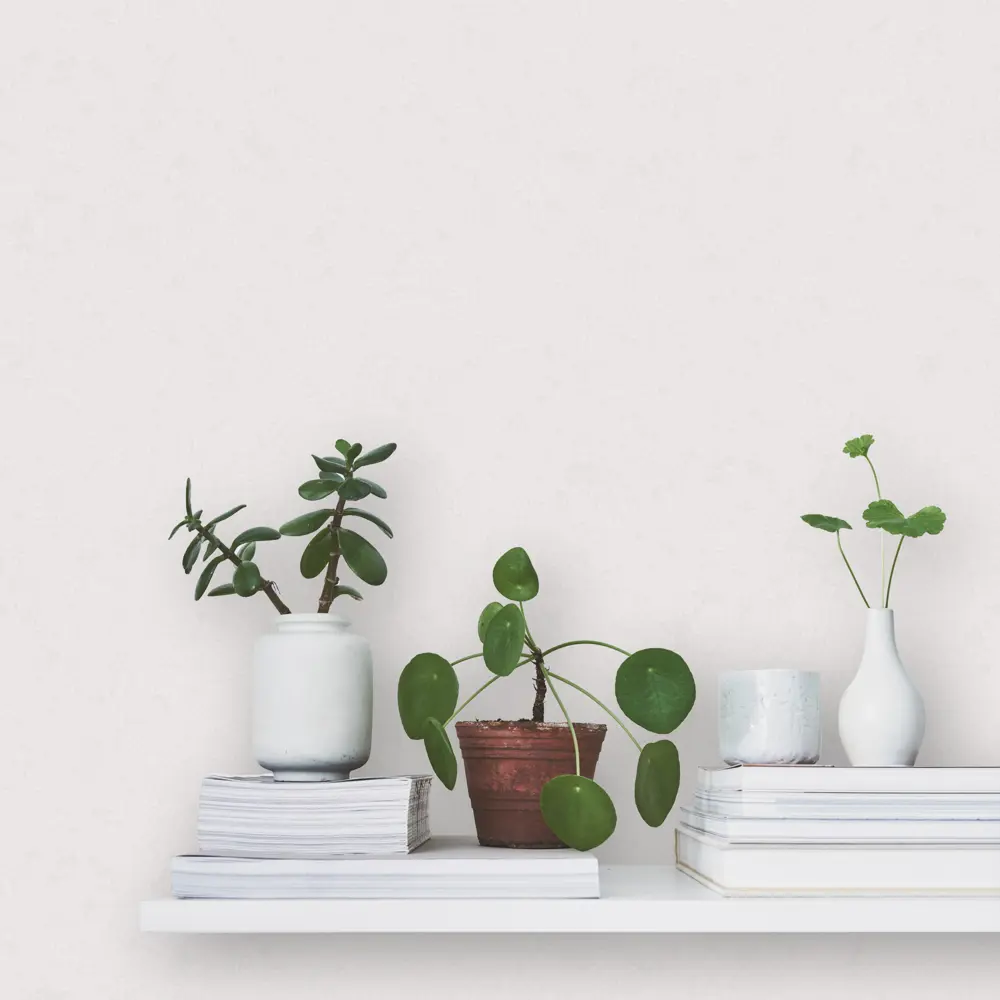 Обои флизелиновые Erismann Vermont светло-серые 1.06 м ЭР60448-06 STLM-2130593 - Вид №2