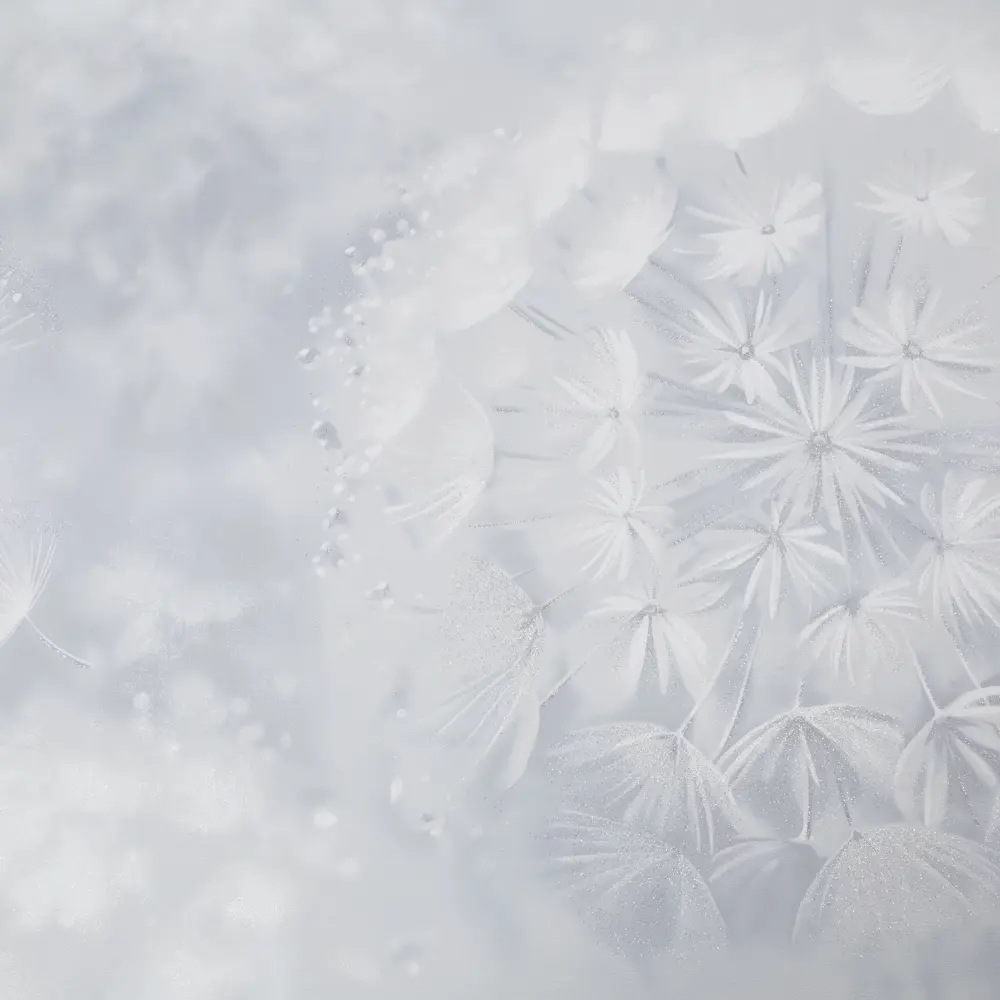 Обои флизелиновые Palitra Home Rosinka серые с растительным рисунком 89411618 STLM-1574595 - Вид №2