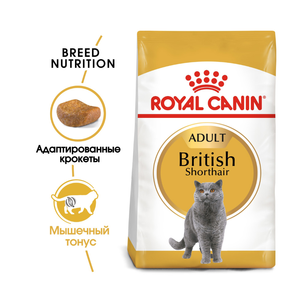Т00008728 Корм для кошек British Shorthair Adult Британская короткошёрстная, птица сух. 400г ROYAL CANIN  - Вид №1