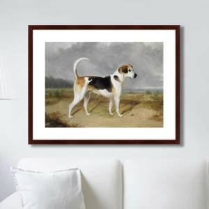 Картина: Portrait of a Foxhound, 1780г. КАРТИНЫ В КВАРТИРУ  264192 Разноцветный