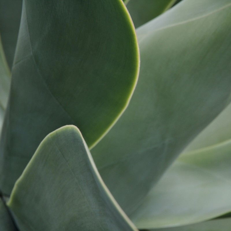 1240/CX38 Картина 1240 Adriani e Rossi  - Вид №1