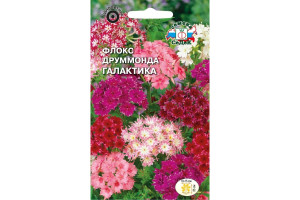 18408883 Семена Флокс Галактика 00000013815 СеДек