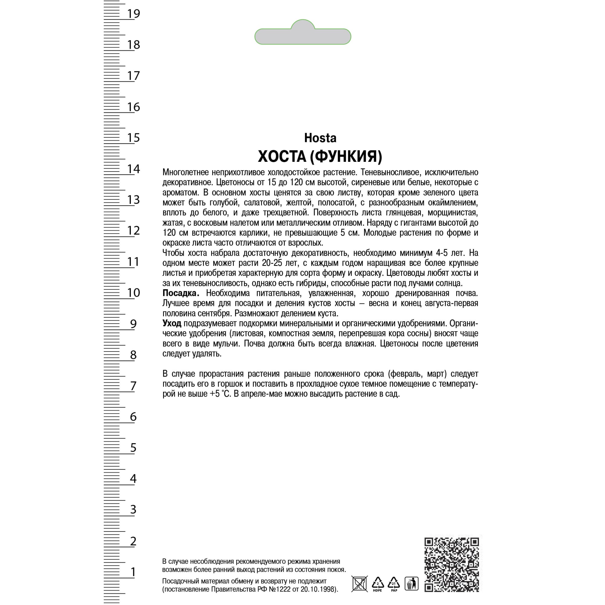 82118743 Хоста гибридная «Токудама Флавоцирциналис», 1 шт Santreyd  - Вид №1