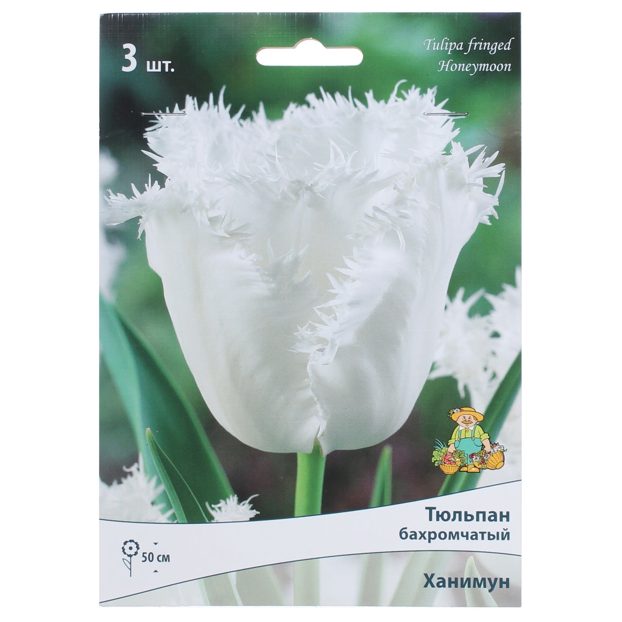 82000222 Тюльпан бахромчатый «Ханимун», высота 40 см, 3 шт Santreyd 