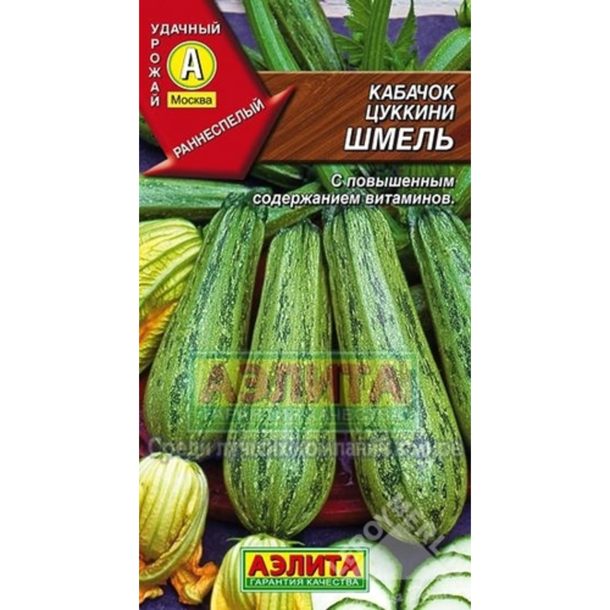 13881900 Кабачок-цукини Шмель Santreyd 