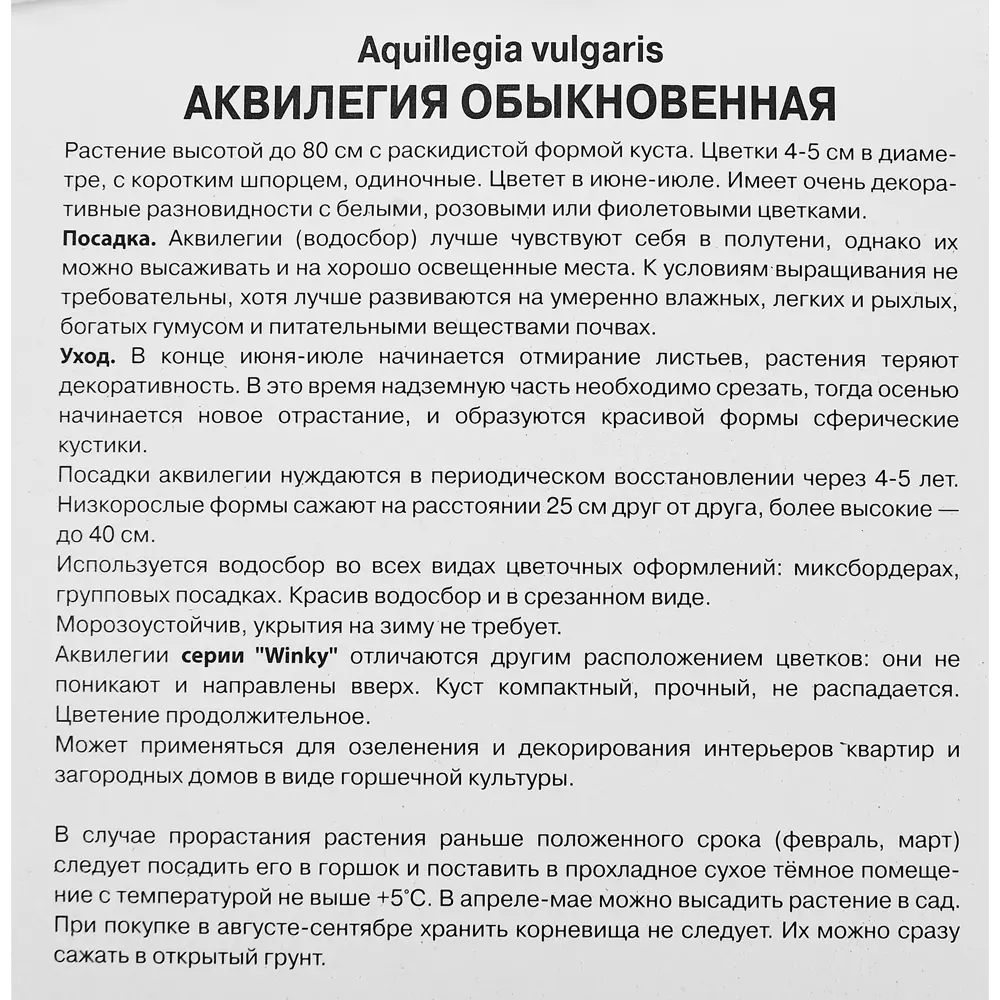 Аквилегия обыкновенная Винки Дабл Вайт Энд Вайт ПОИСК STLM-2134240 - Вид №2