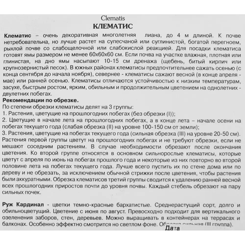 Клематис «Руж Кардинал» 18345656 STLM-2139950 Santreyd  - Вид №2