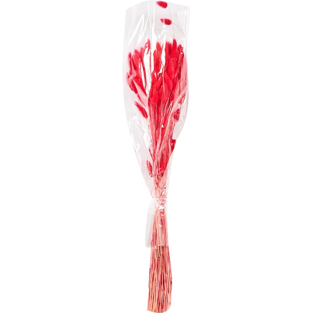 Букет из сухих цветов Лагурус микс 1 70 см Santreyd STLM-2132636 - Вид №7