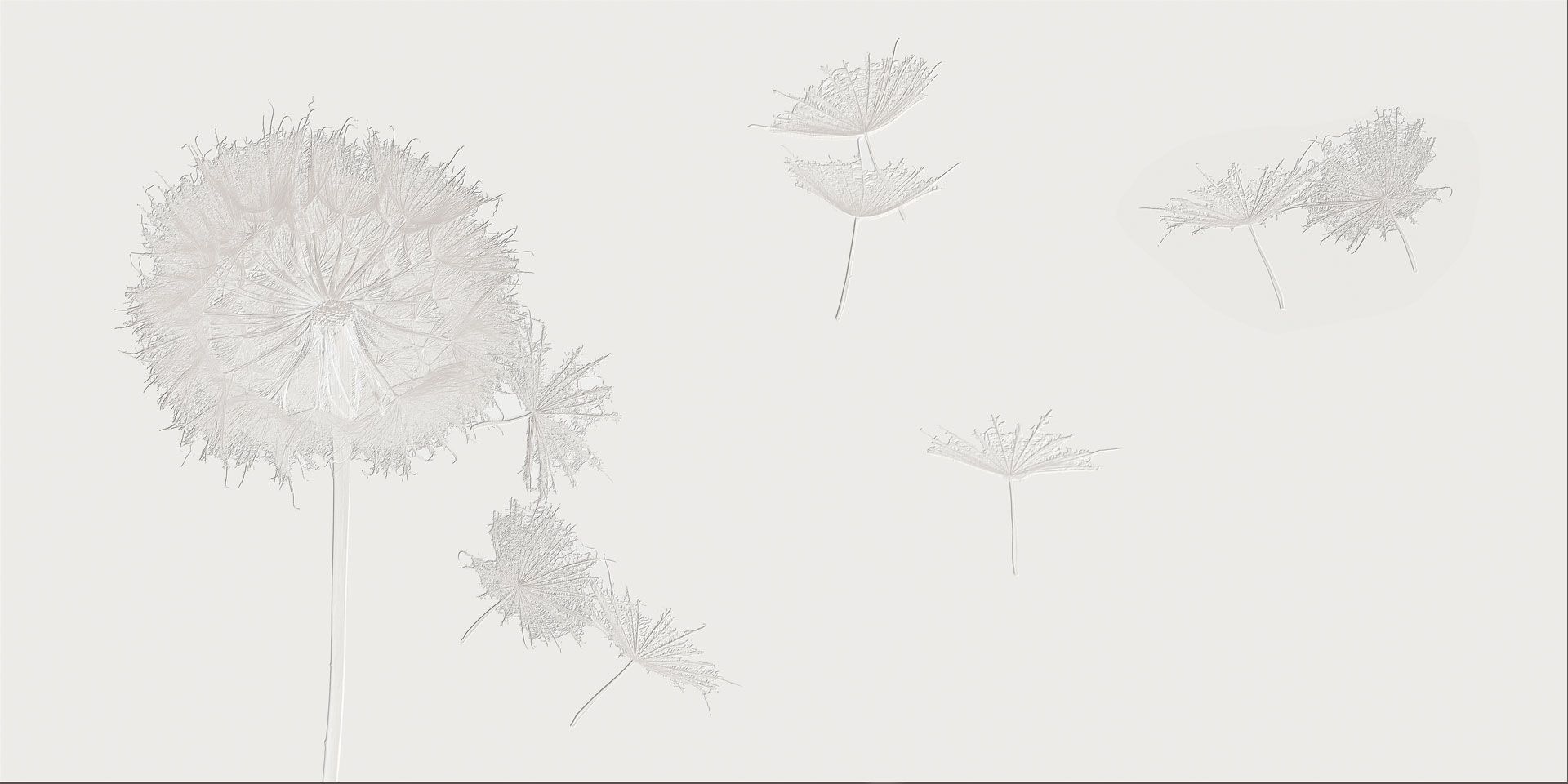 Обои с цветочным узором Rimura 2023 ARCH-00138036 - Вид №2