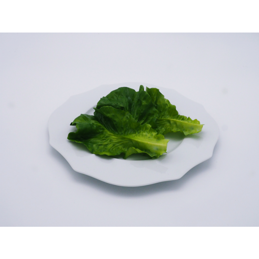 Листья салата искусственные (6 шт) Mr Plant 347990 - Вид №3