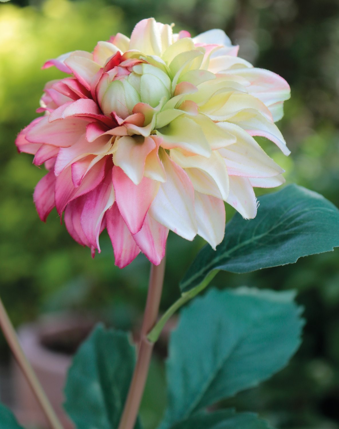 2451 350 a3 Пластиковый георгин, 56 см, желто-розовый H-andreas  - Вид №4