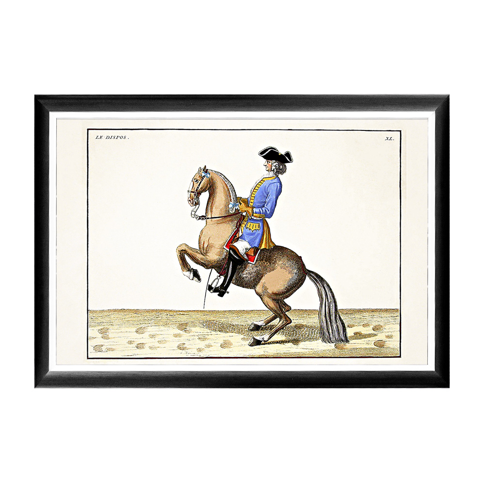 732022518_1818 Арт-постер «Верховая езда, Урок № 7» Object Desire 