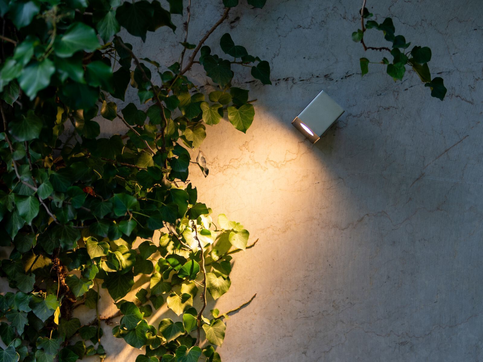 Светодиодный прожектор из нержавеющей стали Stral DIJK ROTO ARCH-00039981