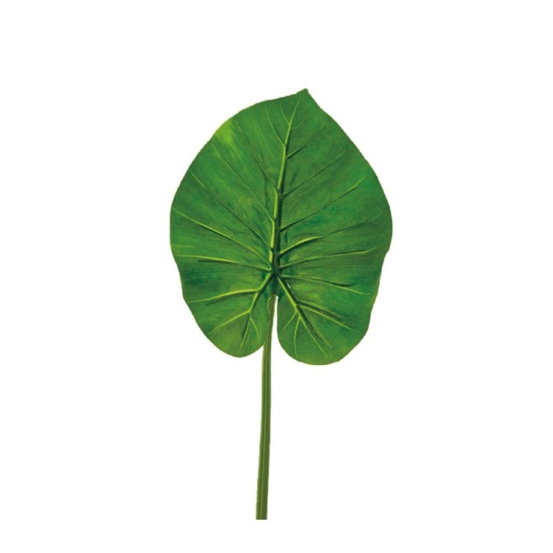 L120X4 Зеленый лист Adriani e Rossi  - Вид №2