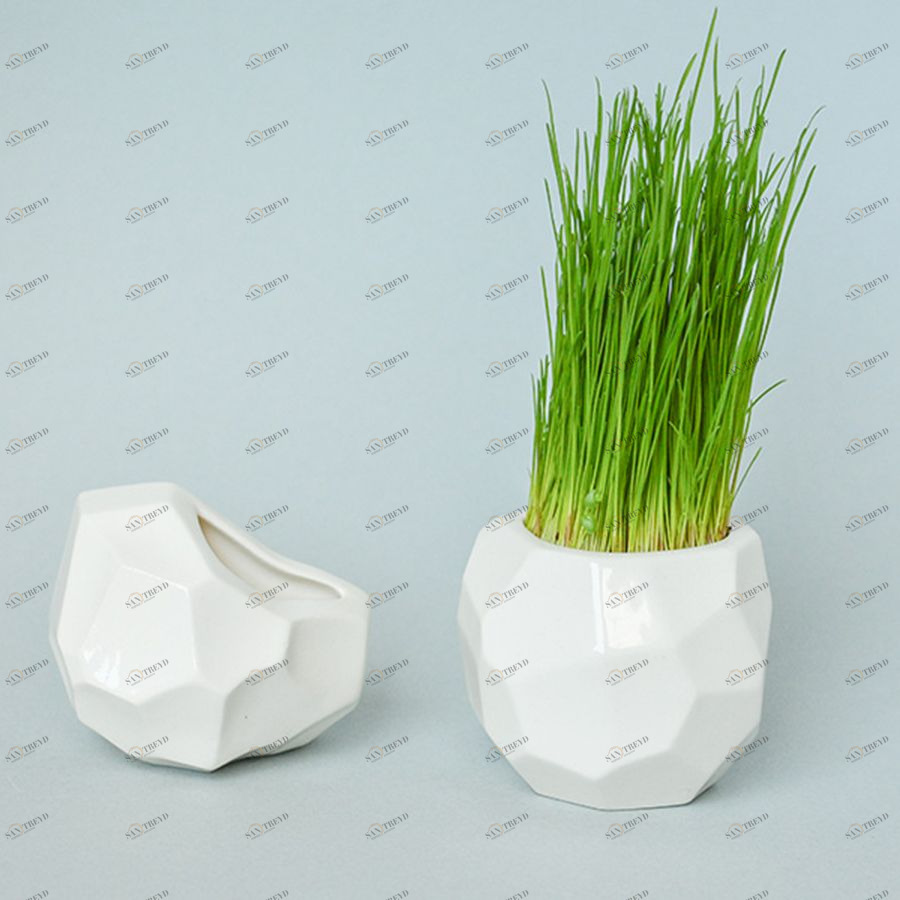 Набор для выращивания Eco кашпо магнит "Метеорит" ЭКОЧЕЛОВЕКИ STM203