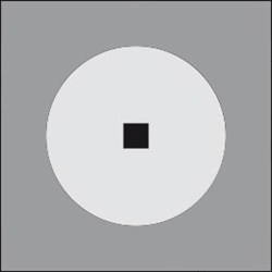 MiniDisco 250 Ghidini Disco - Вид №1