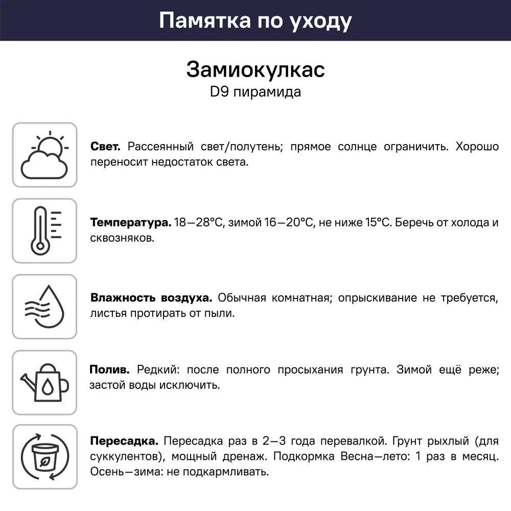 Замиокулькас ø9 h20 см 89409562 STLM-2129886 Santreyd  - Вид №5