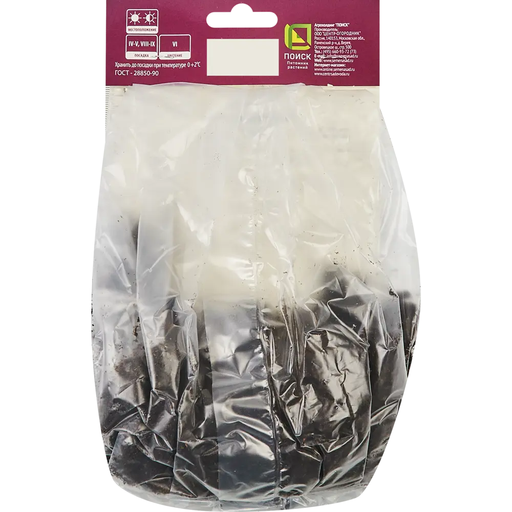 Ирис сибирский Конкорд Краш ПОИСК STLM-2091095 - Вид №1