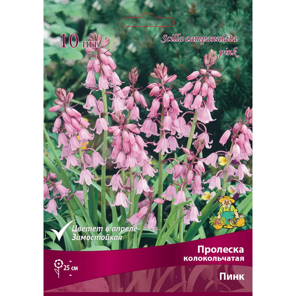 Пролеска колокольчатая «Пинк» 17981095 STLM-2173117 Santreyd 
