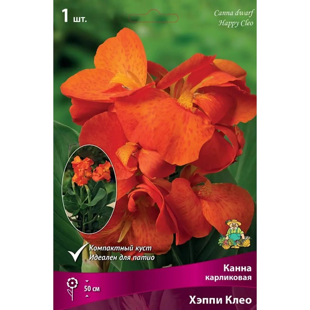 Калла Хэппи Клео луковица I 83598116 STLM-2107927 Santreyd 