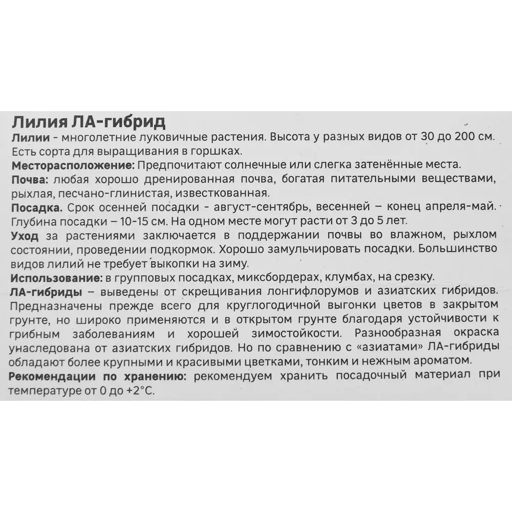 Лилия Geolia ла-гибрид Брайт Даймонд STLM-2204959 - Вид №3