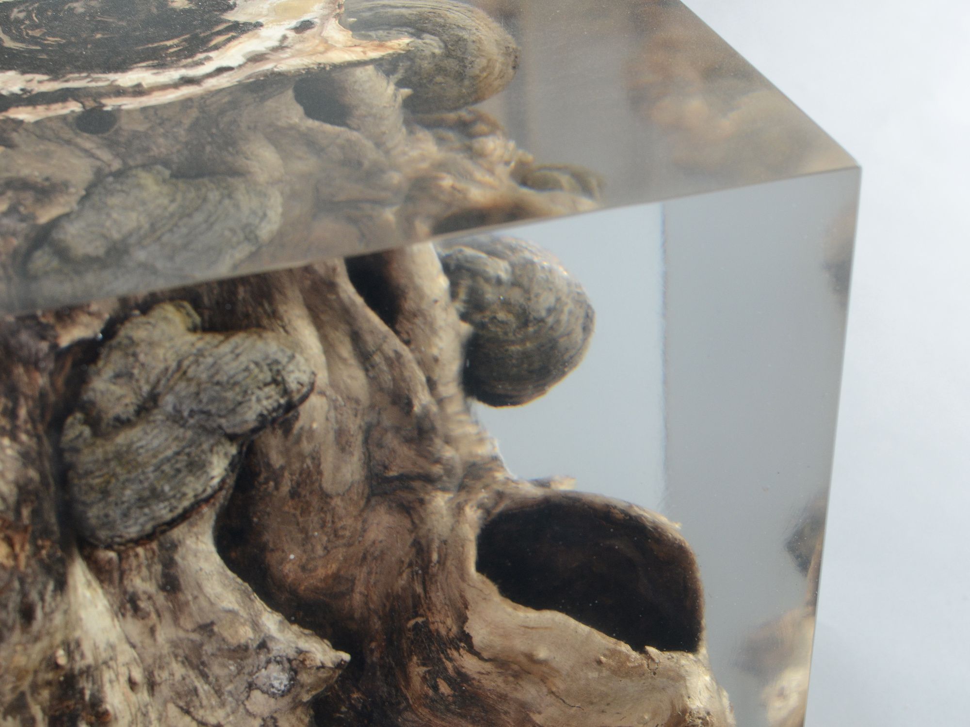 Табурет / журнальный столик alcarol Fungi ARCH-00131901 - Вид №9