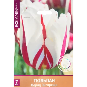 Тюльпан «Ворлд Экспрешн» размер луковицы 11/12, 7 шт. 82666010 STLM-2203404