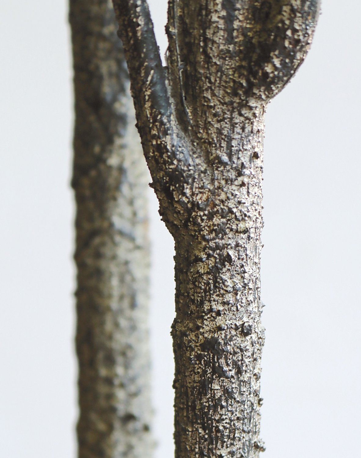 5481 883 a3 Искусственная шефлера, горшок, 160 см, зеленый H-andreas  - Вид №2