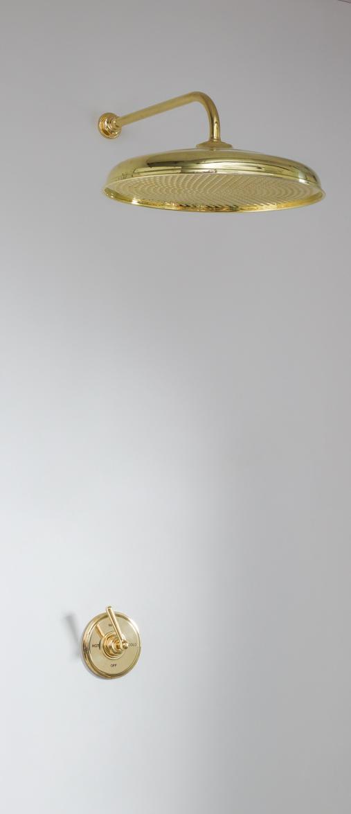 Скрытая душевая кабина Bill - Тип A - розетка 18 дюймов Bill & Ben The water monopoly sun-id-2132349