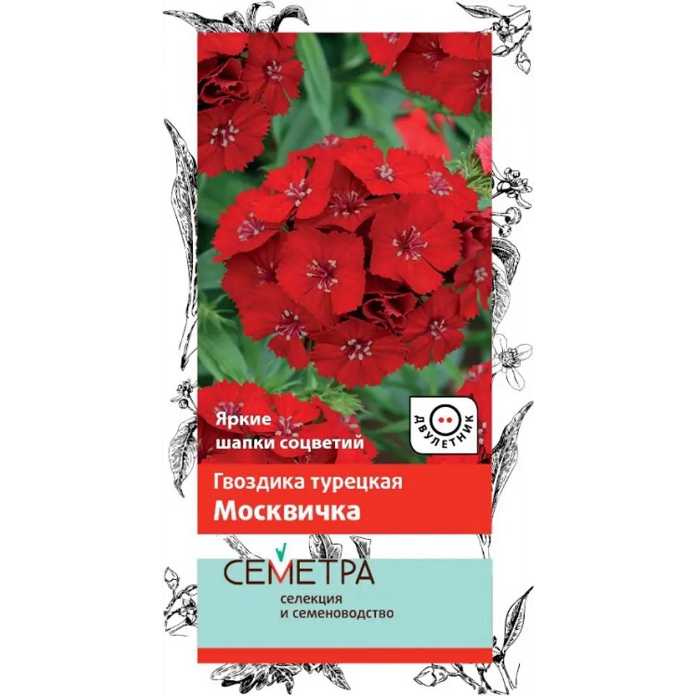 Семена Гвоздика Турецкая «Москвичка» 83147200 STLM-2003356 ПОИСК 