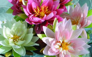 3900 500 a2 Шелковая кувшинка, плавающая, Ø 16 см, светло-розовая H-andreas