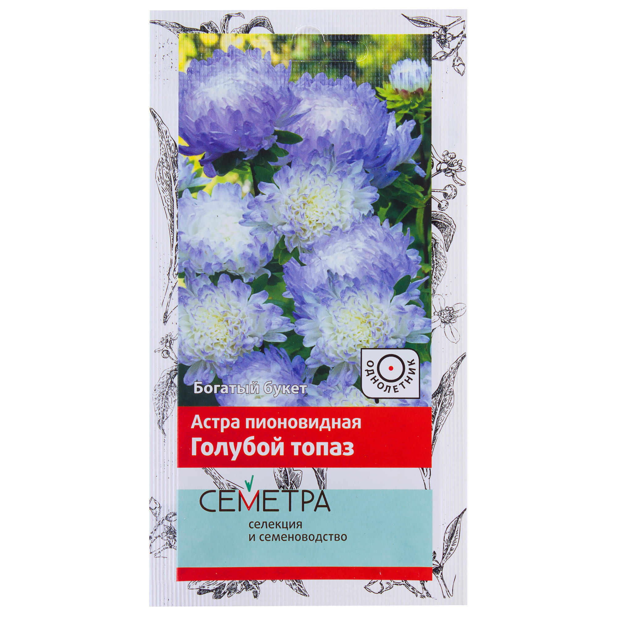 18359100 Астра пионовидная «Голубой топаз» Santreyd 