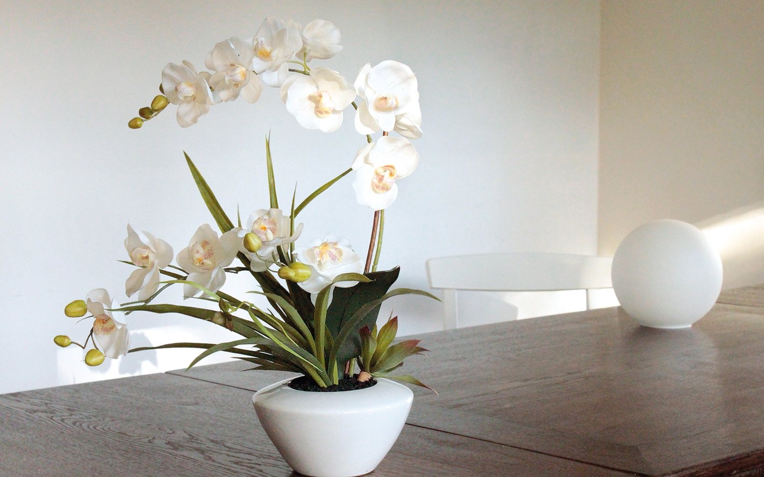 2768 778 a3 Пластиковая орхидея Phalaenopsis с суккулентами, горшечная, 55 см, бежево-белая H-andreas 