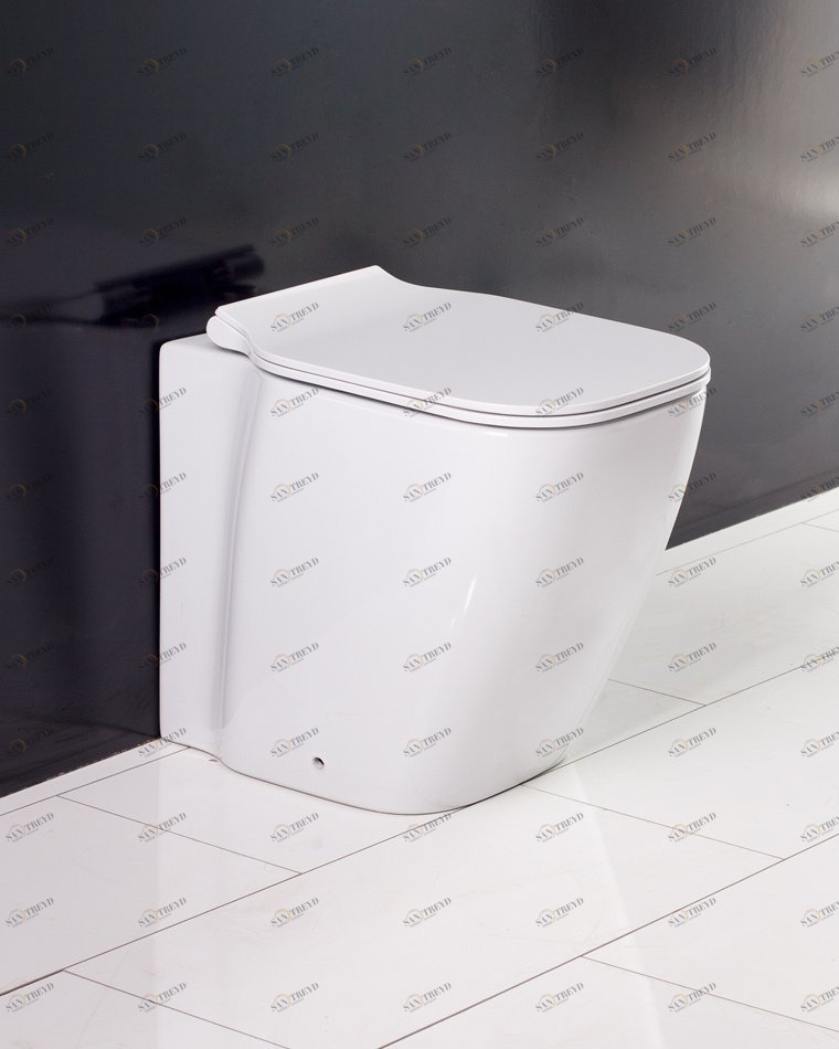 Унитаз приставной BelBagno ALDINA безободковый Приставной унитаз напольный Белый BELBAGNO  Китай 