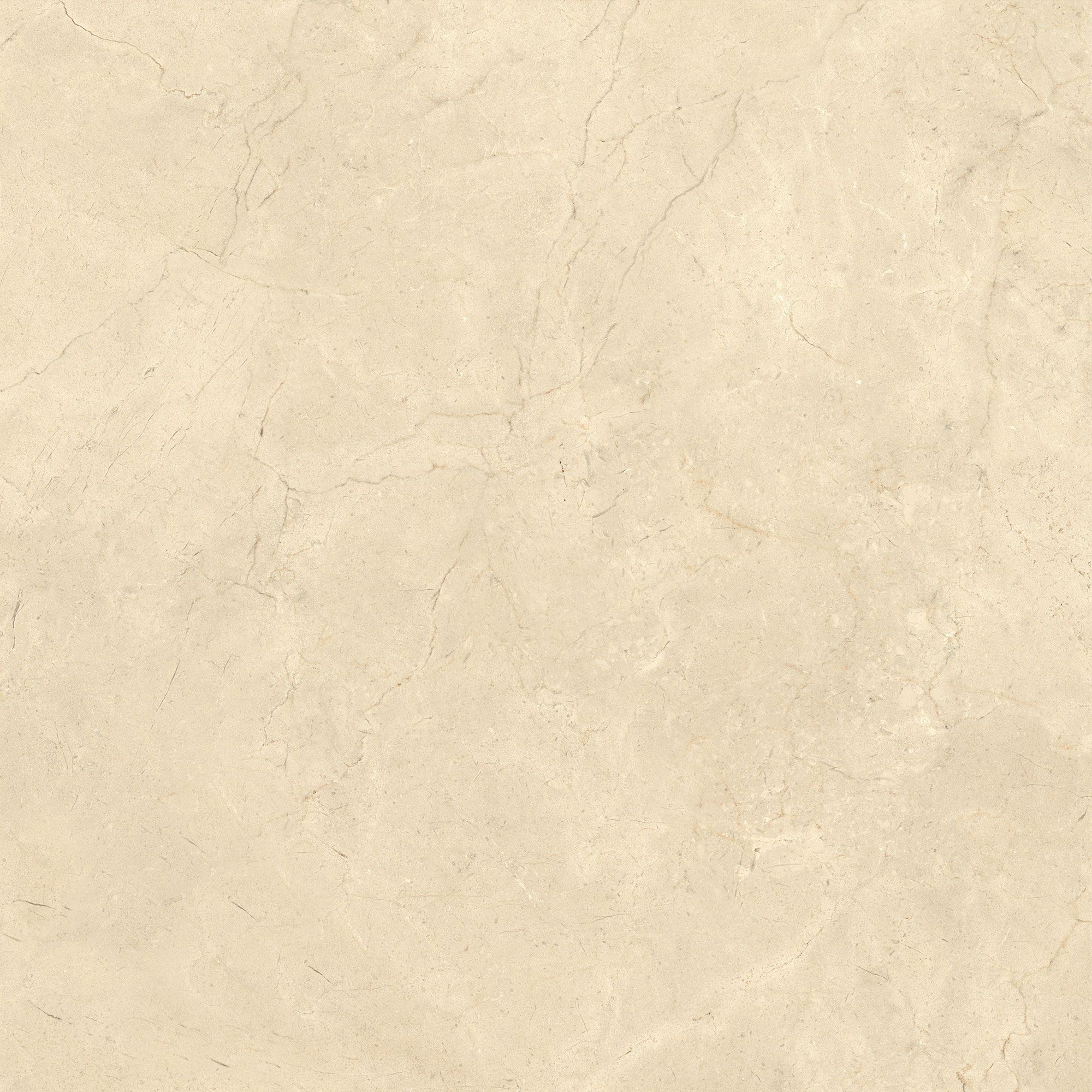 Пол / облицовка керамогранита с эффектом камня Italgraniti Calcis ARCH-00078048 - Вид №68